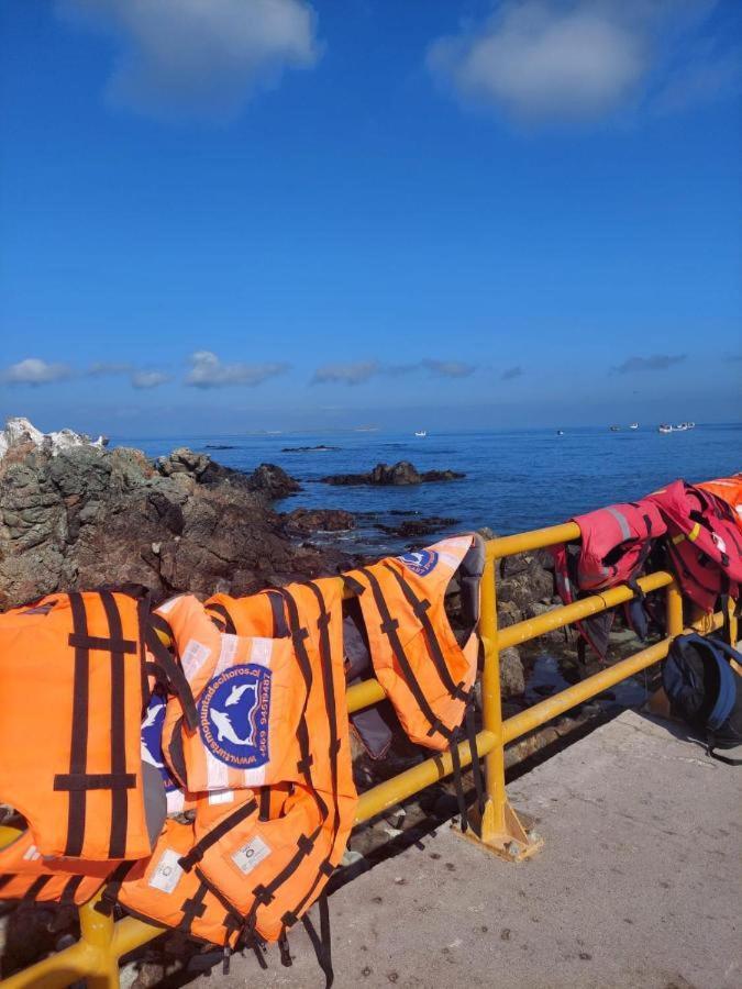 Refugio Del Archipielago Punta Choros Zewnętrze zdjęcie